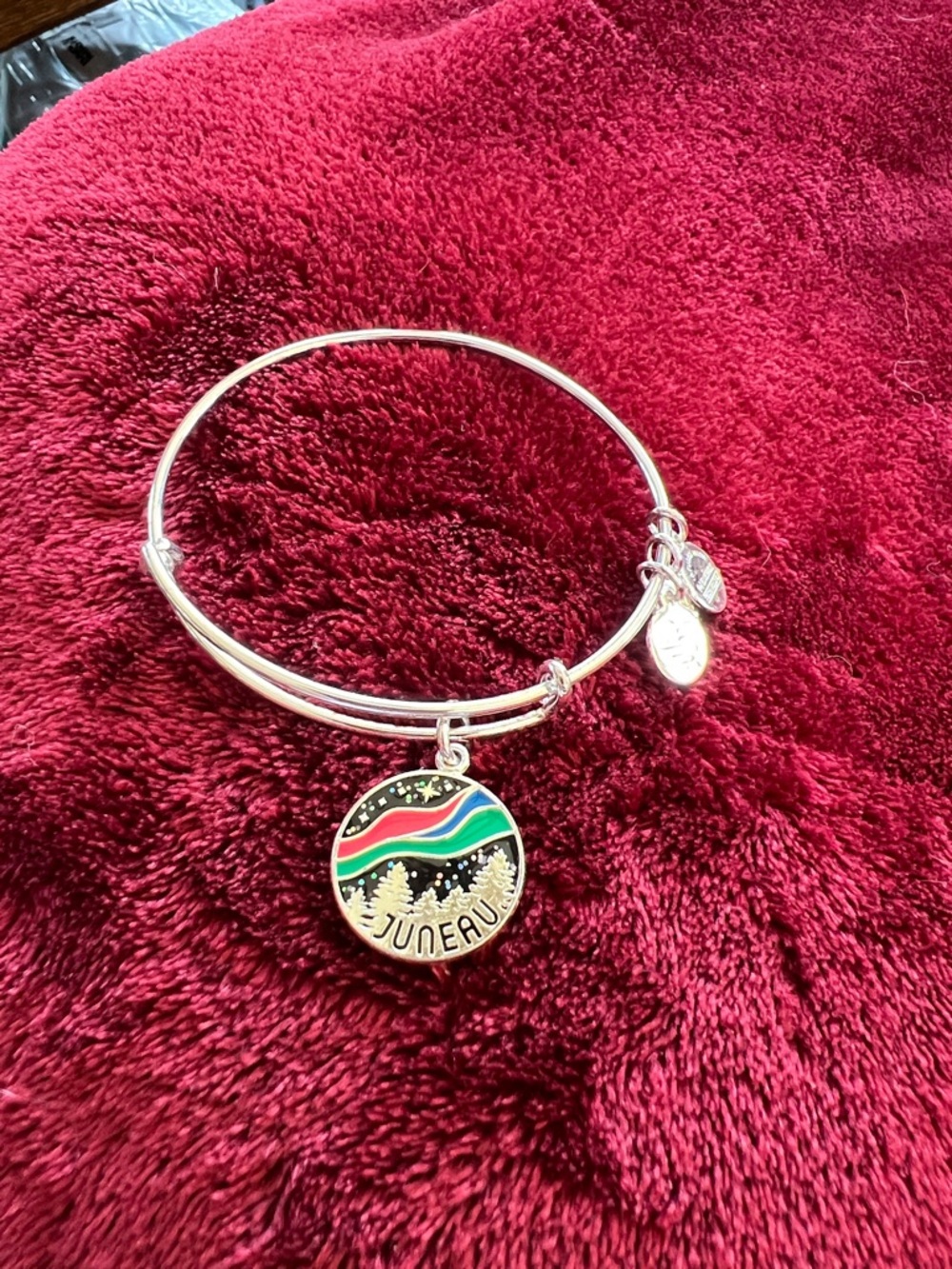 Alex and Ani Silver Bangle Bracelet with Multi-Color Juneau Charm - Picture 3 of 3